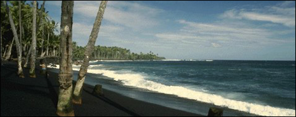 Chaddo Memorial – Dick Chadwick